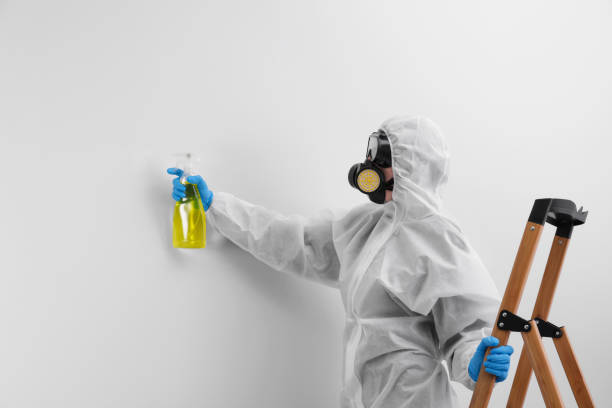 Best Comprehensive Air Testing for Mold Contaminants in Posen, IL